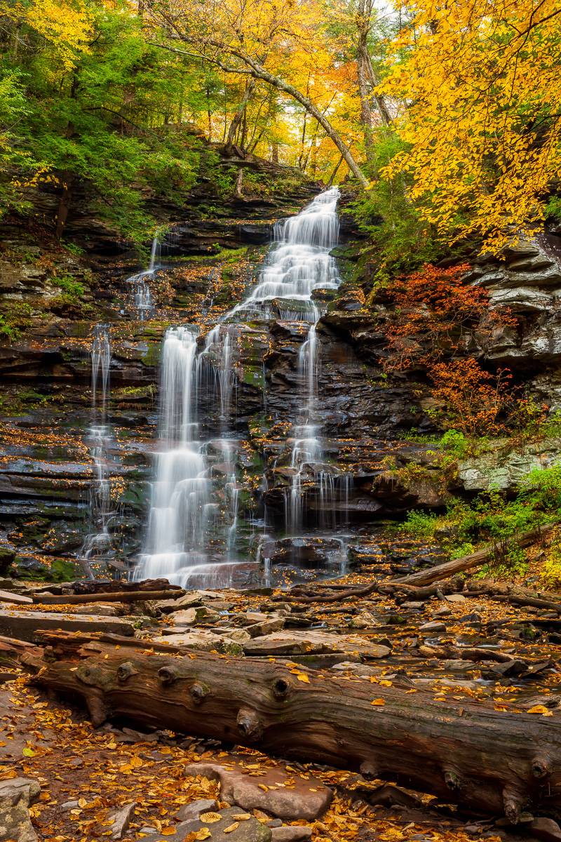 MAB-20201016-PA-RICKETTS-GLEN-GANOGA-FALLS-74690.jpg