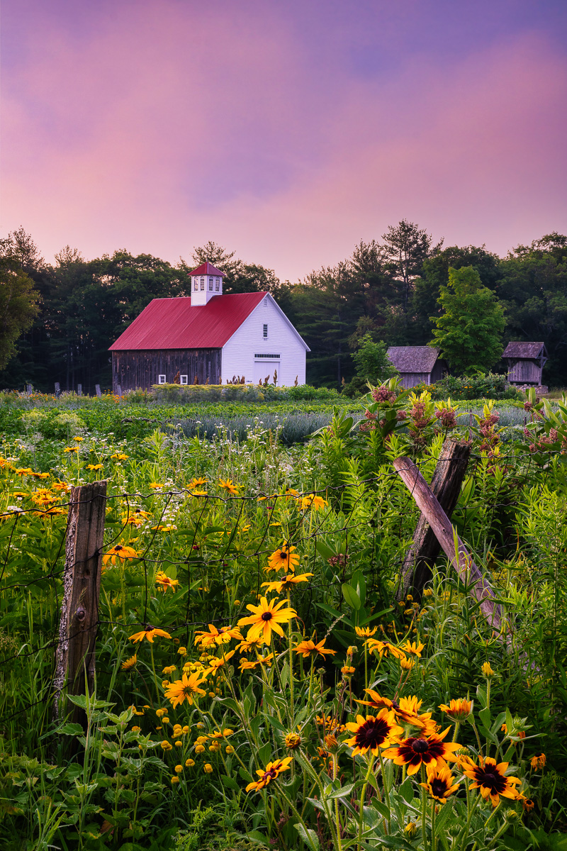 MAB-20210711-NH-MUSTER-FIELD-FARM-SUNRISE-78813.jpg