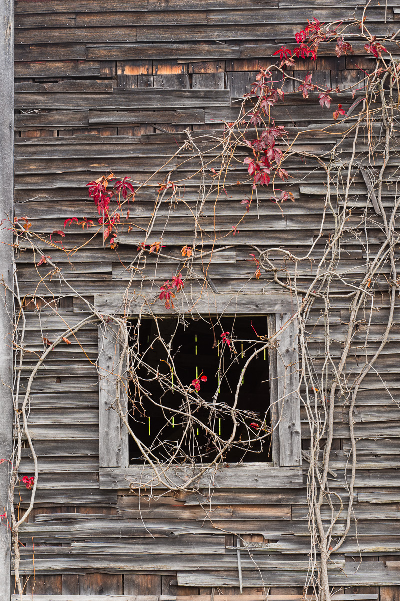 MAB-20171008-VT-WAITS-RIVER-OLD-BARN-8101436.jpg