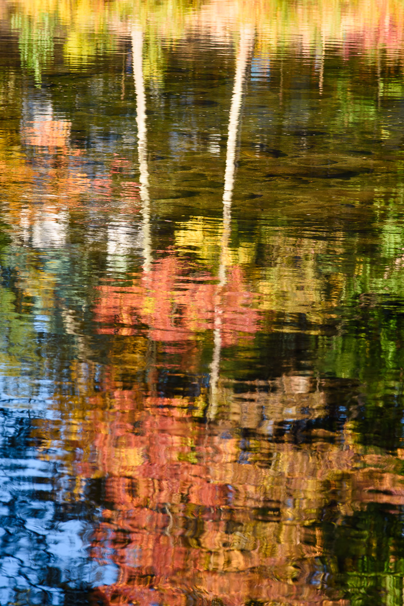 MAB-20161007-NH-SACO-RIVER-REFLECTION-8103982.jpg