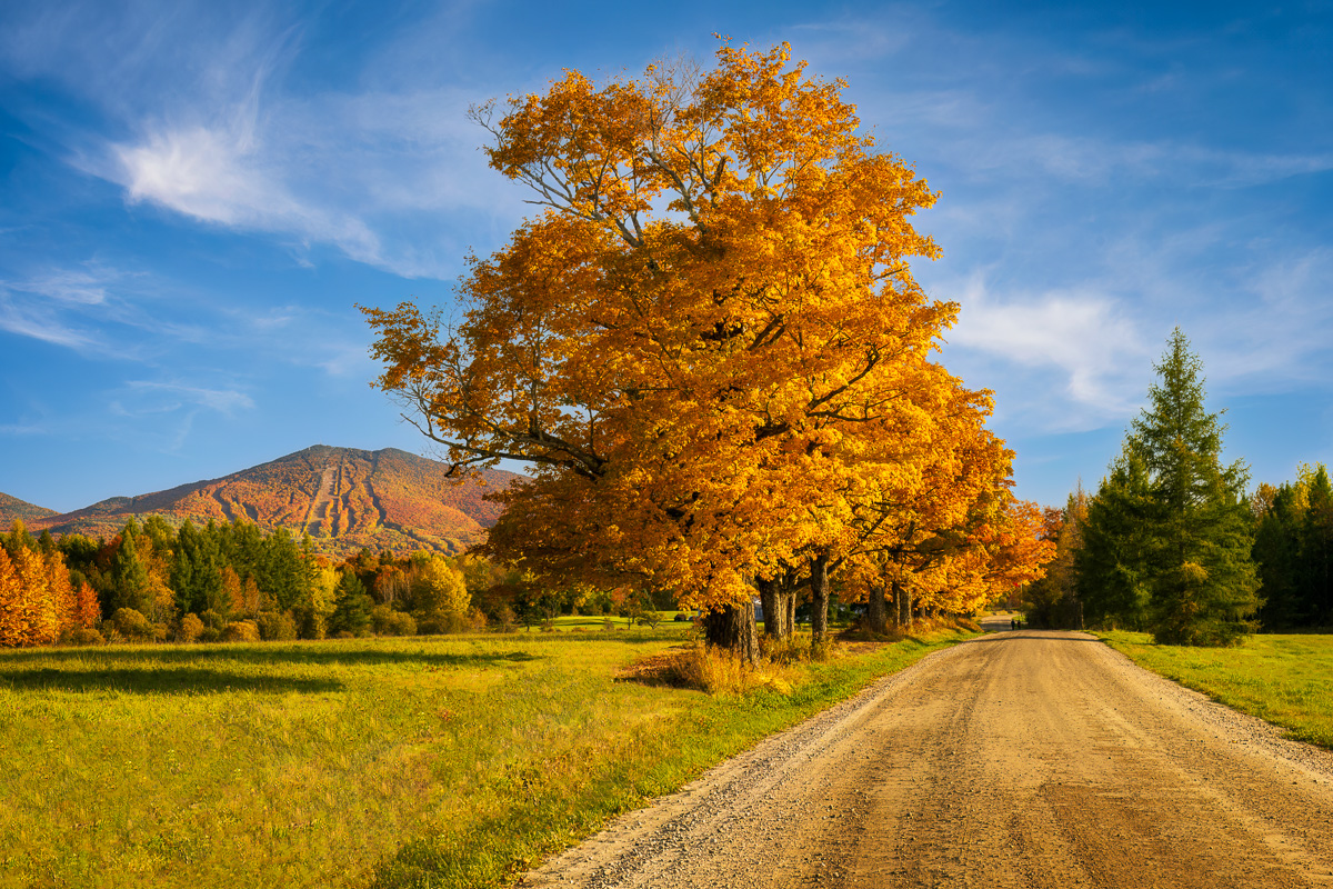 MAB-20221006-VT-BURKE-MOUNTAIN-FALL-FOLIAGE-21594.jpg