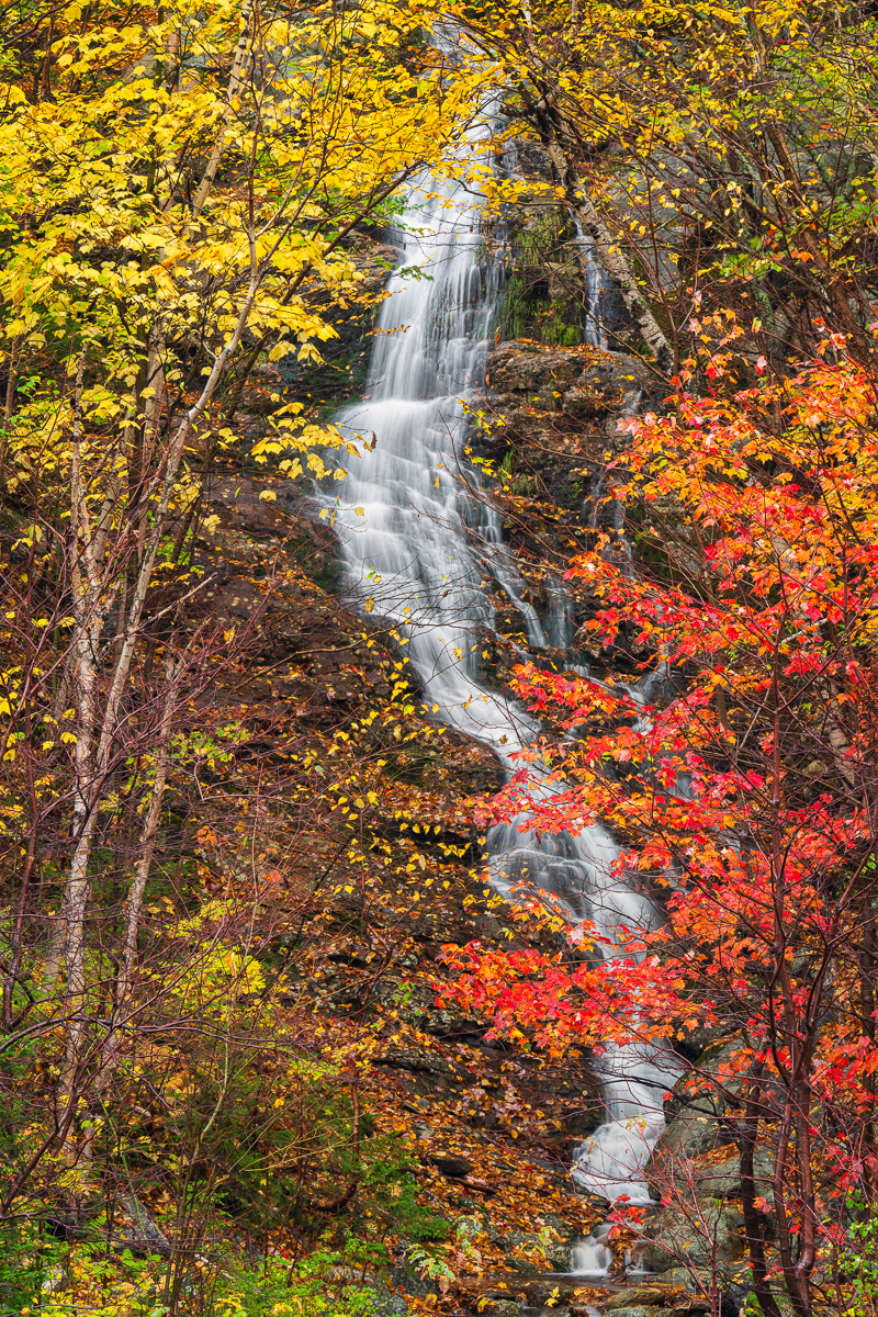 MAB-20231007-NH-JACKSON-TREES-AUTUMN-COLOR-082836.jpg