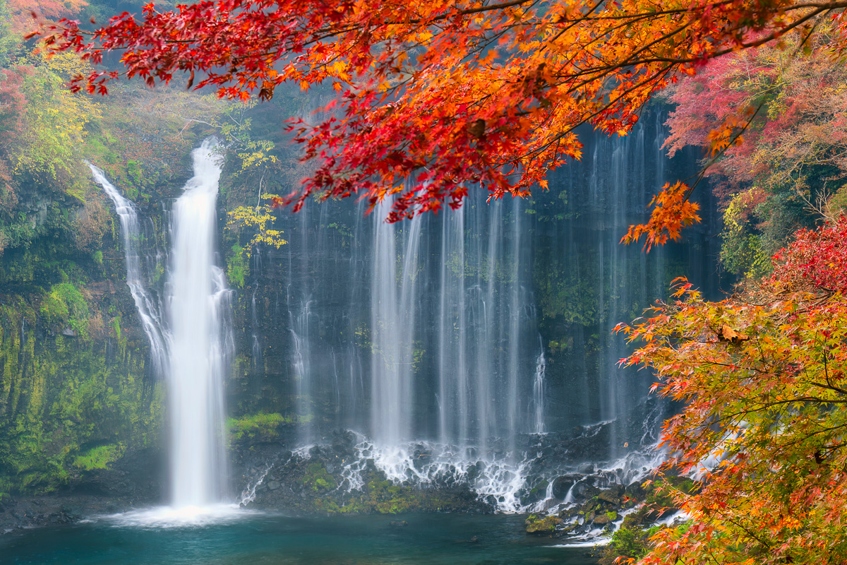 MAB-20221120-JP-FUJINOMIYA-SHIRAITO-WATERFALLS-23689.jpg